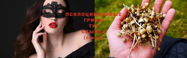 гидра Аркадак