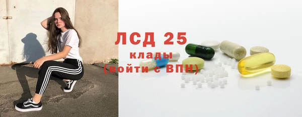 гидра Аркадак
