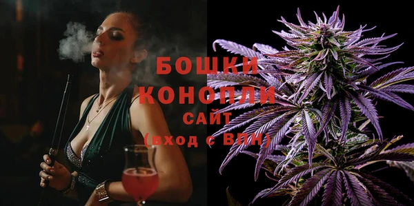 гидра Аркадак