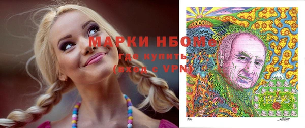 гидра Аркадак