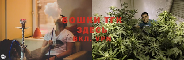 гидра Аркадак