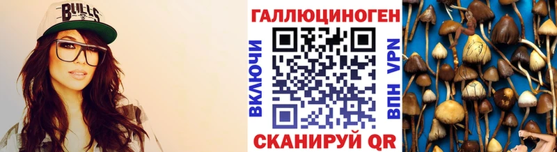 Псилоцибиновые грибы Psilocybine cubensis Среднеуральск